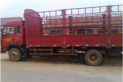 惠陽至金門17米平板車出租，專業貨物運輸解決方案